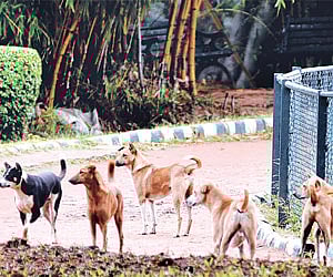 Image used for representational purpose only