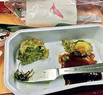 Cockroach found in a meal served in AI flight bound to Chicago from Hyderabad on Wednesday | Express PHOTO