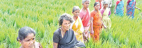 Villagers from Kannankottai in Thiruvallur are among the worst-hit in Tamil Nadu