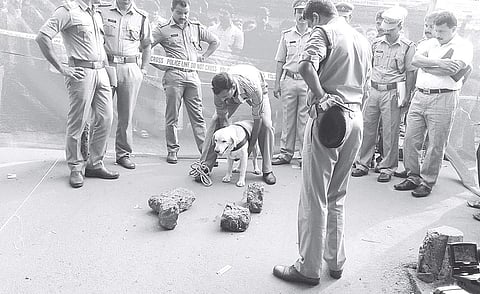 Police officials and the dog squad inspecting the spot where  Faisal was hacked