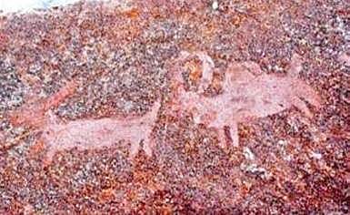 Ancient artworks etched in stone shed light on prehistoric Tamil Nadu ecosystem