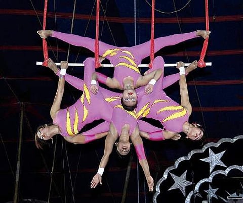 Great Bombay Circus struggles to survive through demonetisation