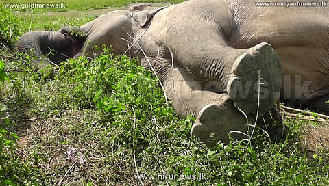 Image used for representational purpose