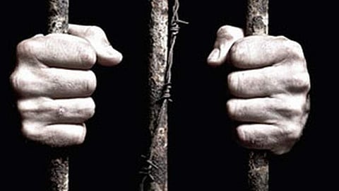 For representational purpose