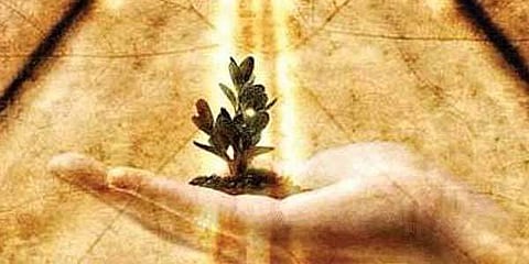 Restoring the sacred purpose to our lives