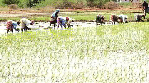 Image used for representational purpose only.