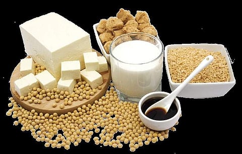 Bacteria are good for you