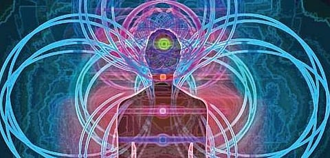 Nadis, the channels of life force