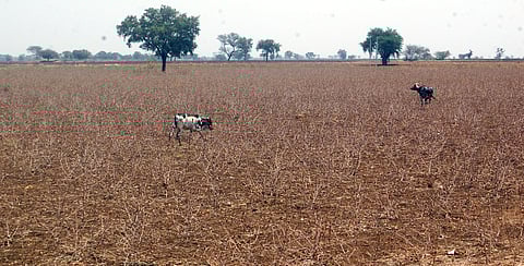 Image used for representational purpose. (File Photo | PTI)