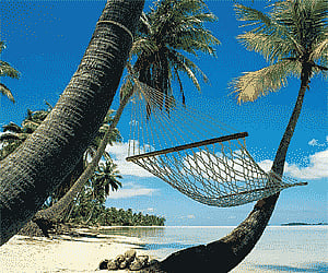 Image for representational purpose only.