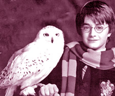 Daniel Radcliffe in Harry Potter (File photo)
