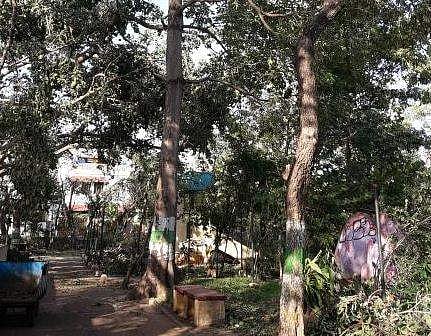 South Chennai mourns the loss of a beloved park