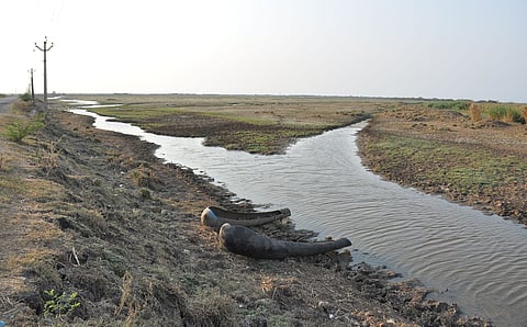 The State government has been instructed to submit a detailed status report by March 19 on the current state of encroachments in Kolleru Lake and the Kolleru Wildlife Sanctuary.