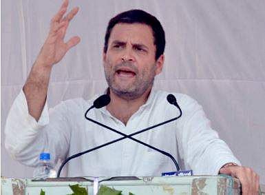 AICC Vice President Rahul Gandhi  | Express Photo Service