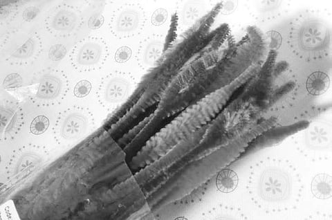 Turn chennille stems to wall decor