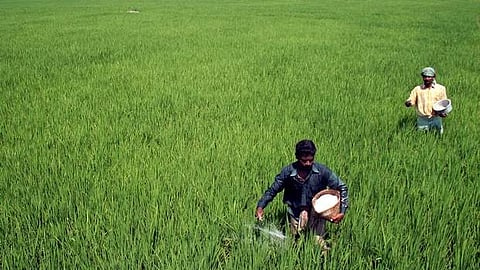 Image used for representational purpose only. (File photo | EPS)