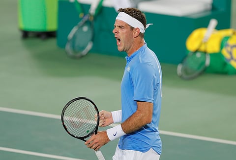 Juan Martin del Potro, of Argentina.