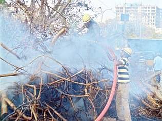 Rescue personnel dousing a fire at a dumping yard for uprooted trees near Egmore Railway Station on Saturday | Express Photo Service