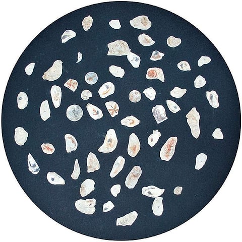 Monologue of transparent memories