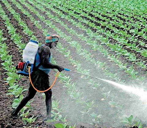 An environmental time bomb