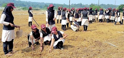 Students of the Government Women's Polytechnic College, Kottakkal, working on an 11-acre barren land | Express Photo Service