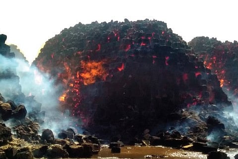 31,000 Tonnes of Bagasse Gutted in Delta Sugar factory