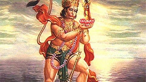 Uttarakhand to spend Rs 250 million in hunt for 'Sanjeevani Booti'