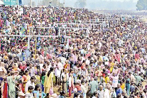 Fervour in the Air as Sammakka Arrives