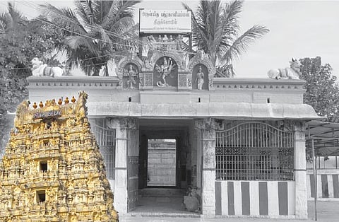 A Banyan Forest Where Shiva Won Dance Contest Against Kali