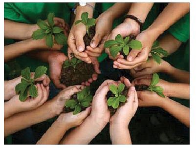 Green Penalty: Make Environmental Compliance Cheaper Than Non-compliance