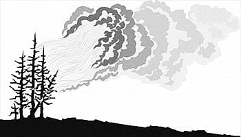 Poachers Fuel Forest Fire to Settle Scores in Odisha