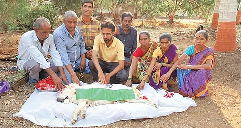 Hero or not, every canine is worthy of a funeral