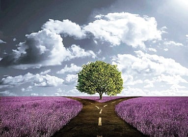 Karma not A Harbinger of the Good, Bad or Ugly