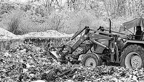 Segregation process, new headache of solid waste management facility