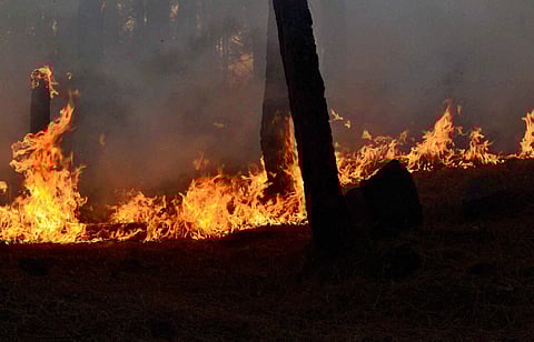 Image used for representation