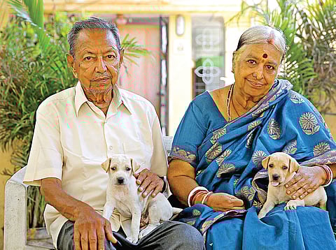 Caregivers of all Beings with 4 Legs