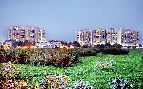 Apartments Killing Lakes Nearby With Their Wastes