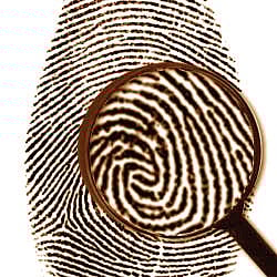 Jisha Case: A Forensic Expert's Take