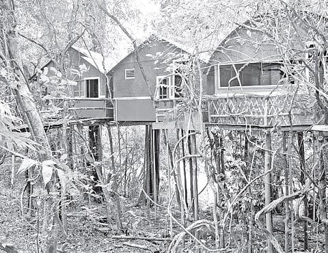 The ladders that lead tourists to nostalgia 