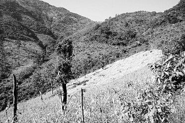 Mahendragiri to find place in Ramayana tourism circuit