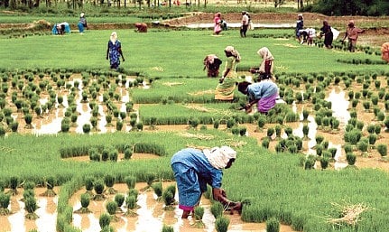 AIR programme on agriculture still making waves