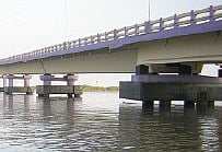 The sweat and blood of Goshree action council 