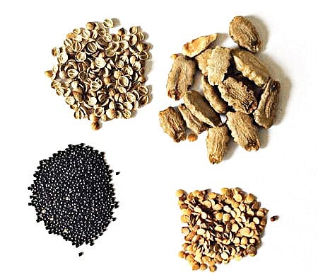 Subscribe to a garden and have it delivered home