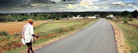 Long-duration crops a better option, farmers told