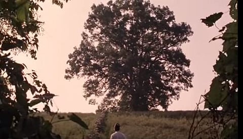 The iconic Oak tree from the movie Shawshank Redemption. | youtube screengrab.