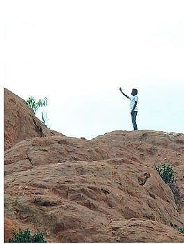 Centre invokes Lord Krishna to justify jallikattu sport