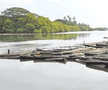 From glorious past, rivers in Kozhikode flow into future imperfect