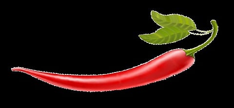 A hot little chilli that makes everyone happy