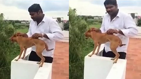 A compilation of screen grabs from the video that has been making the rounds on Whatsapp and Facebook. 