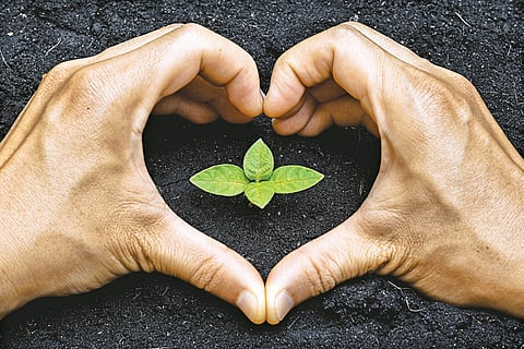 Reading markets right is key to growth 